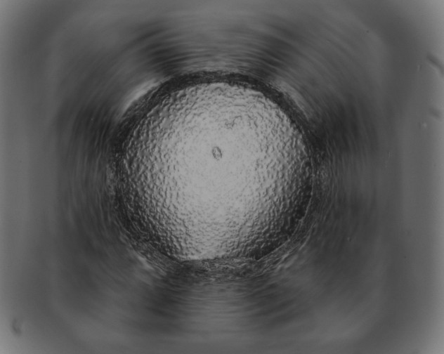 X0000091511064200709070948