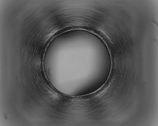 X0000091511065200709070948