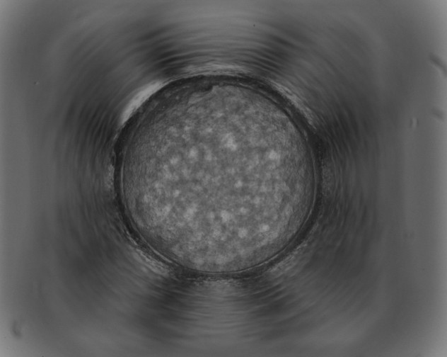 X0000091511066200709070948