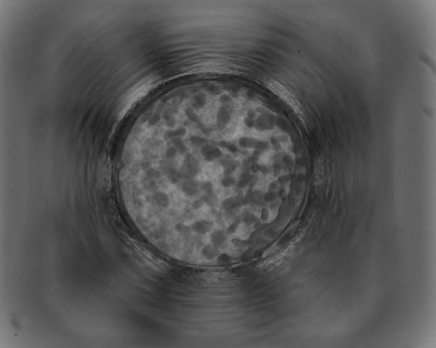 X0000091511067200709070948