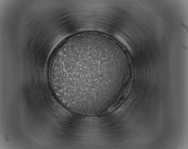 X0000091511068200709070948