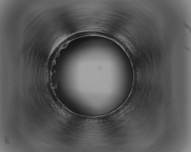 X0000091511069200709070948