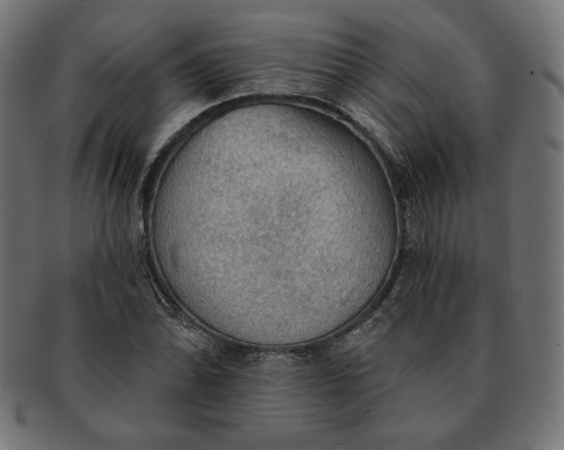 X0000091511070200709070948