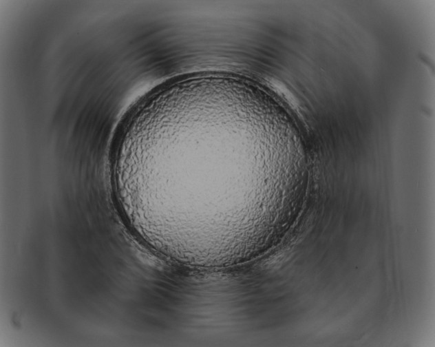 X0000091511072200709070948