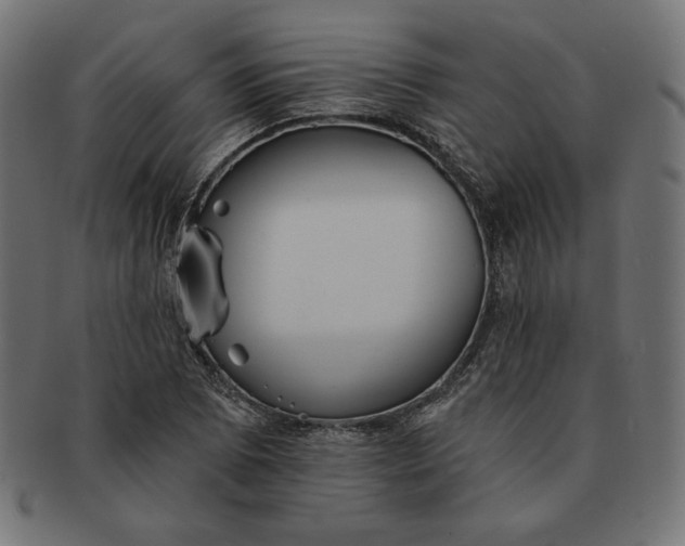 X0000091511073200709070948