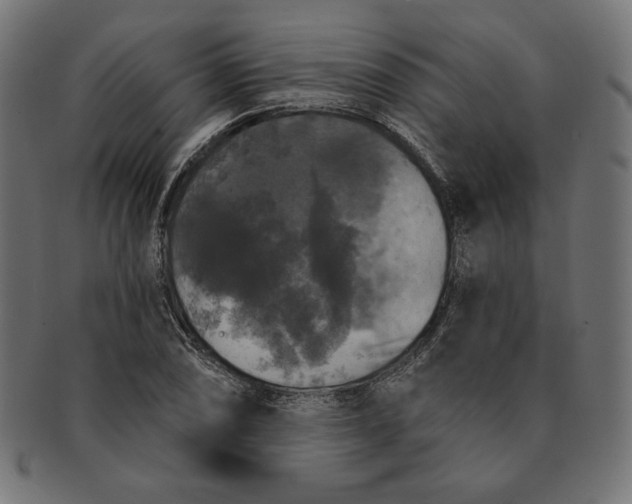 X0000091511074200709070948