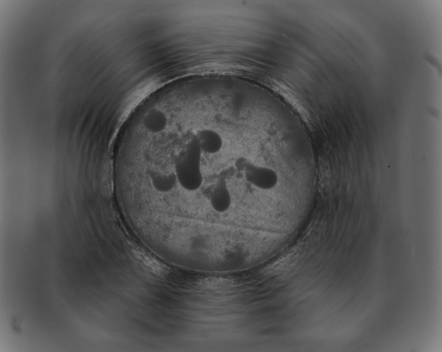 X0000091511075200709070948