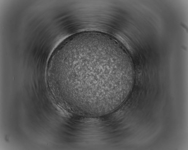 X0000091511076200709070948