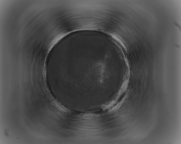 X0000091511077200709070948