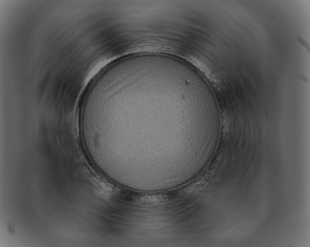 X0000091511078200709070948