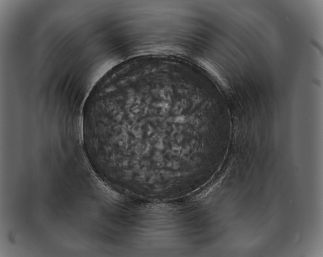 X0000091511079200709070948