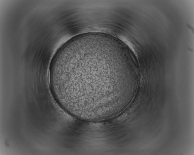 X0000091511080200709070948