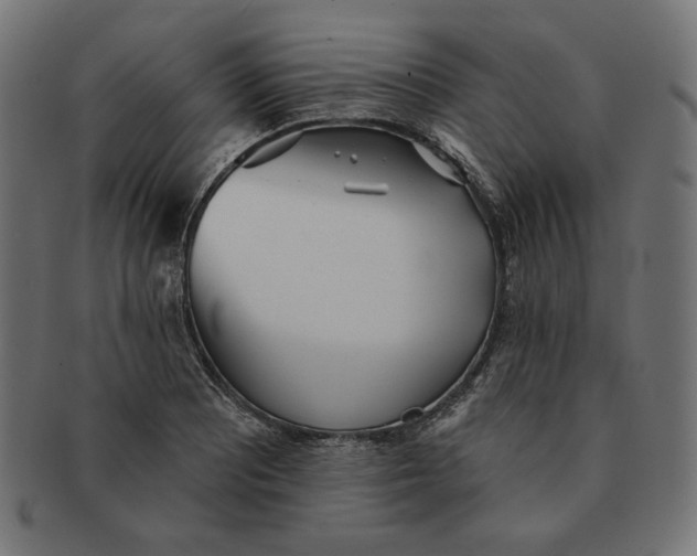 X0000091511081200709070948