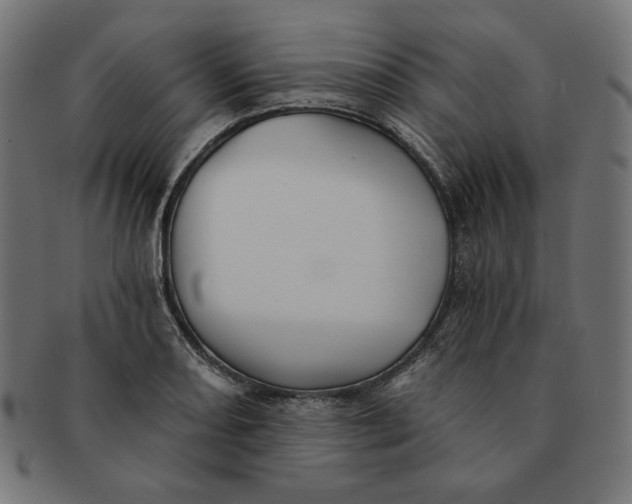 X0000091511082200709070948