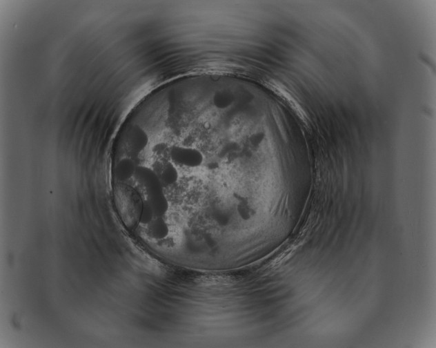 X0000091511083200709070948