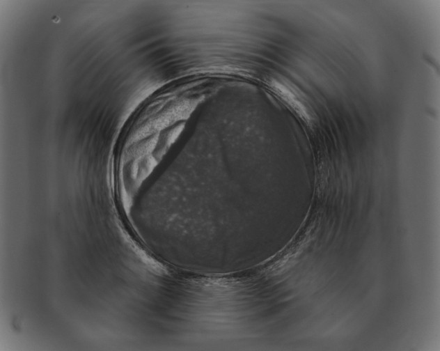 X0000091511084200709070948