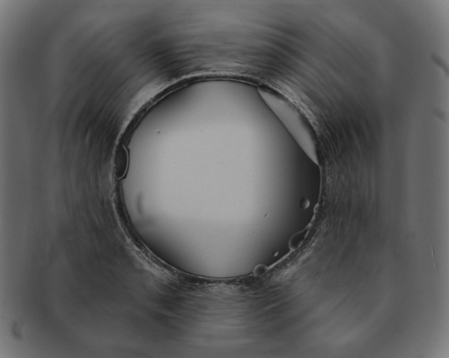 X0000091511085200709070948