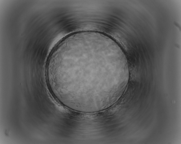 X0000091511086200709070948