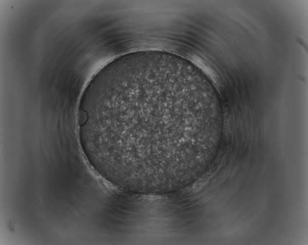 X0000091511088200709070948