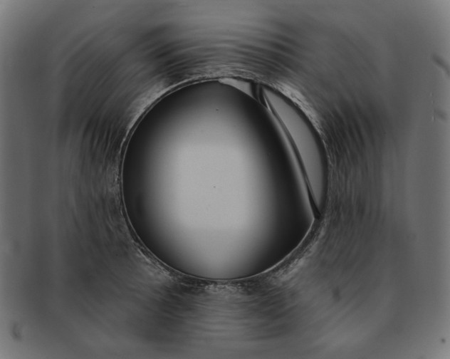 X0000091511089200709070948