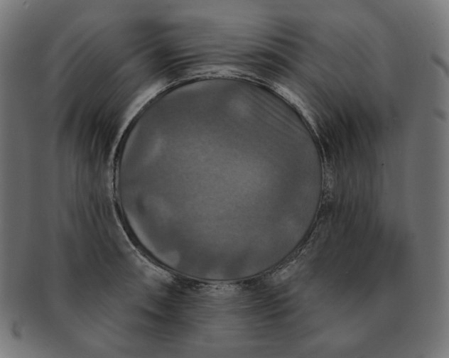 X0000091511090200709070948