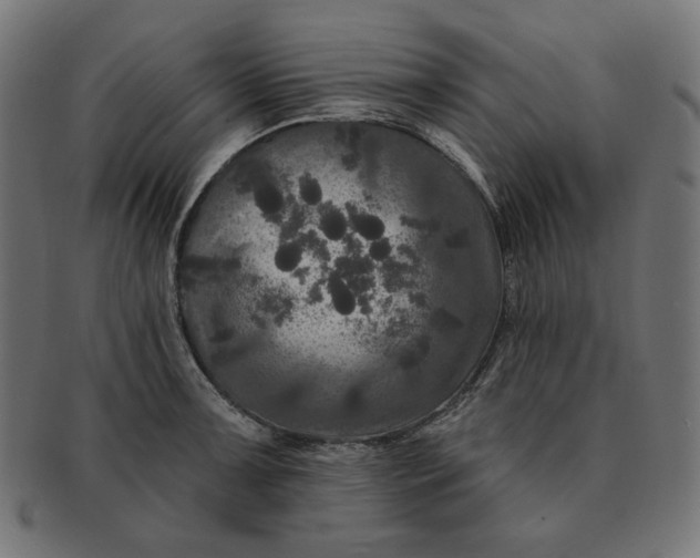 X0000091511091200709070948