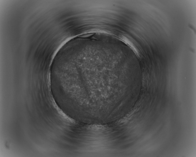 X0000091511092200709070947