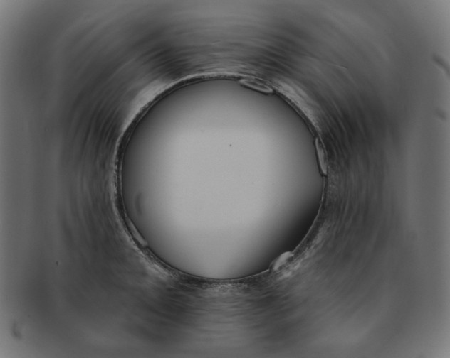 X0000091511093200709070947