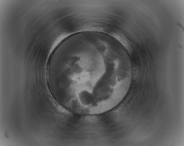 X0000091511094200709070947