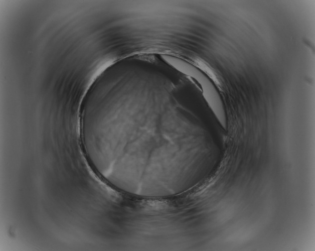 X0000091511095200709070947