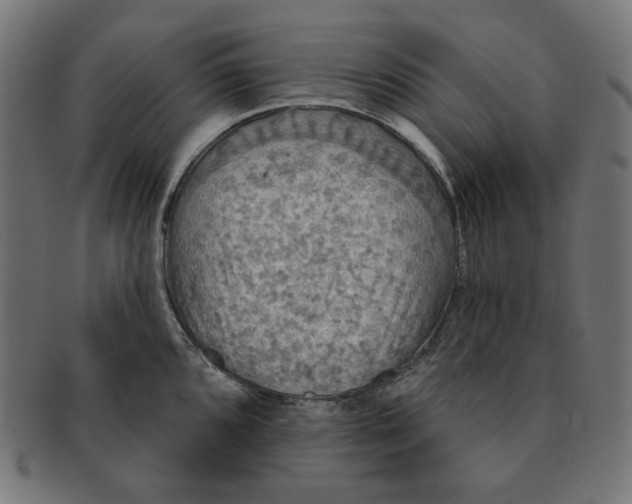 X0000091511096200709070947