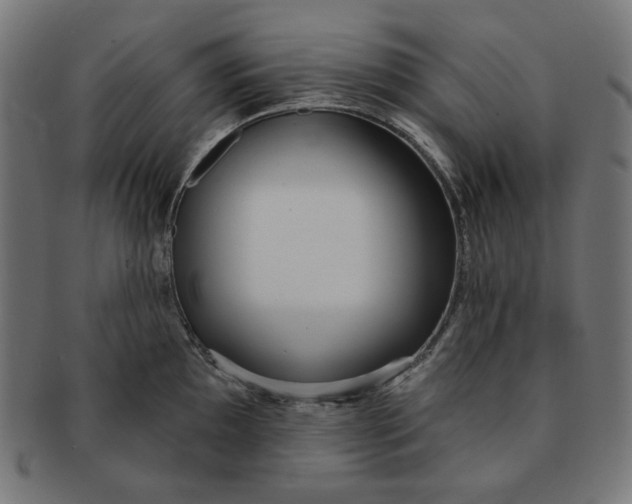 X0000091511097200709070947