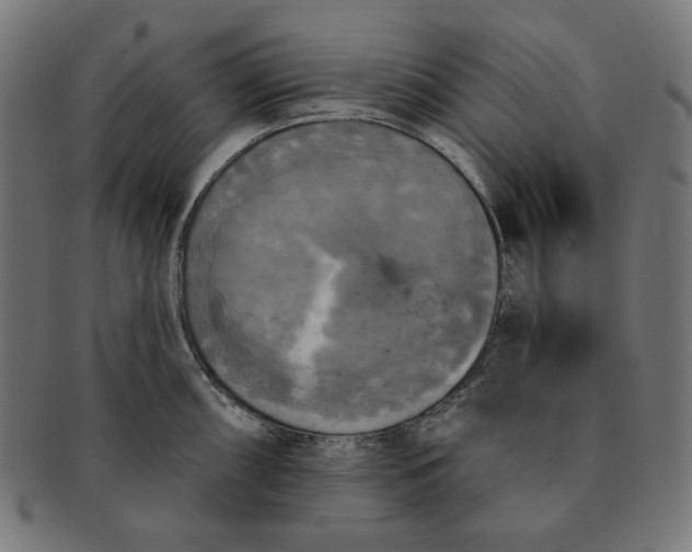 X0000091511098200709070947