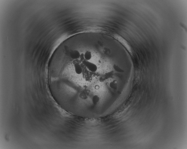 X0000091511099200709070947