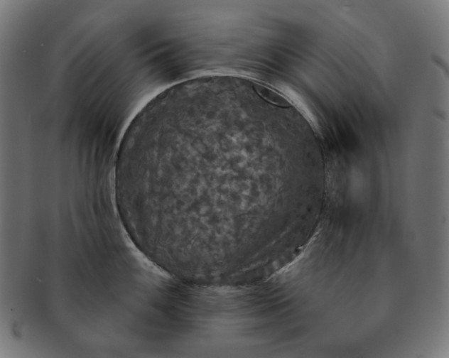 X0000091511100200709070947