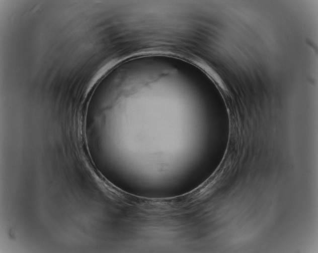 X0000091511101200709070947