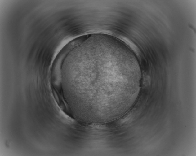 X0000091511102200709070947