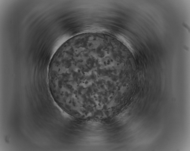 X0000091511103200709070947