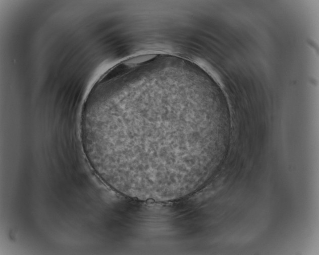 X0000091511104200709070947