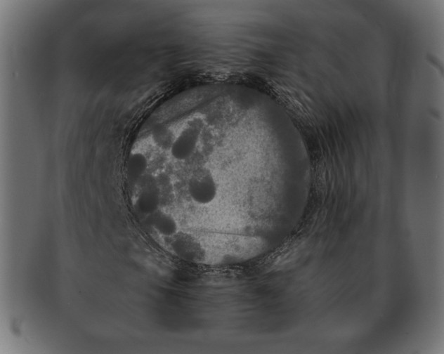 X0000091511105200709070947