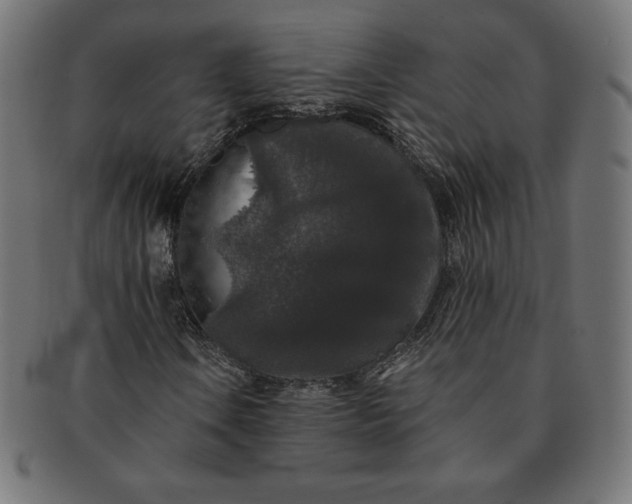 X0000091511106200709070947