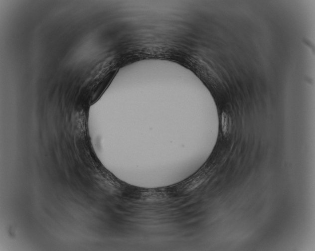 X0000091511107200709070947