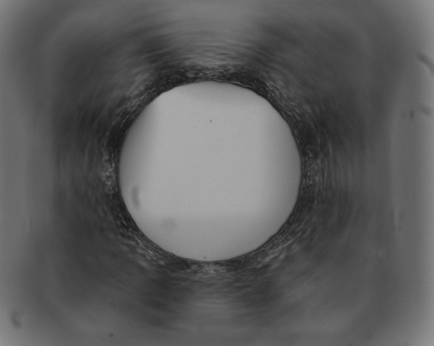 X0000091511109200709070947