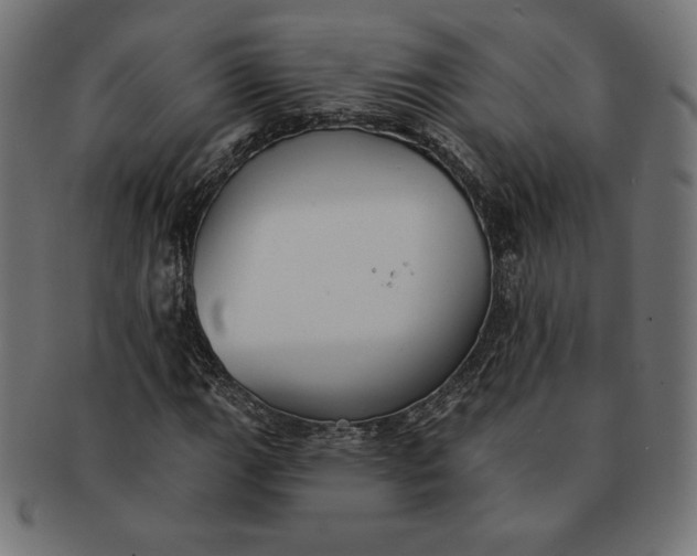 X0000091511111200709070947