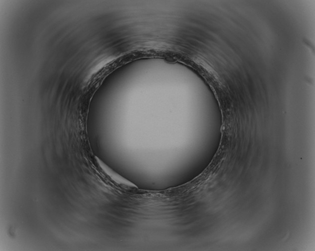 X0000091511112200709070947