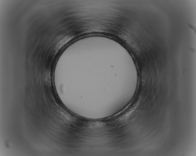 X0000091511113200709070947