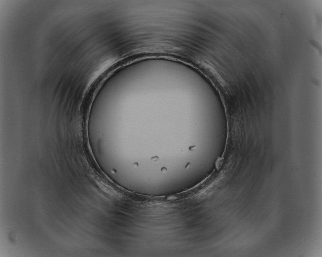 X0000091511114200709070947