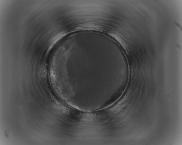 X0000091511115200709070947