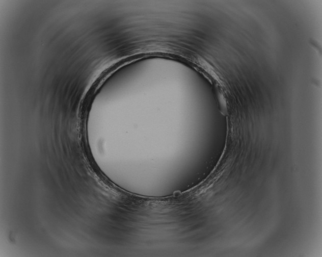 X0000091511116200709070947