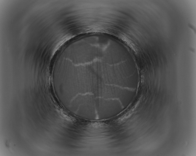 X0000091511117200709070947